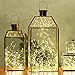 Kohree 3 Pack 10ft 60 LEDs Fairy String Lights, AA Battery Powered Decor Rope Lights For Seasonal Decorative Christmas Holiday, Wedding, Parties With Timer & Battery Box (Warm White)