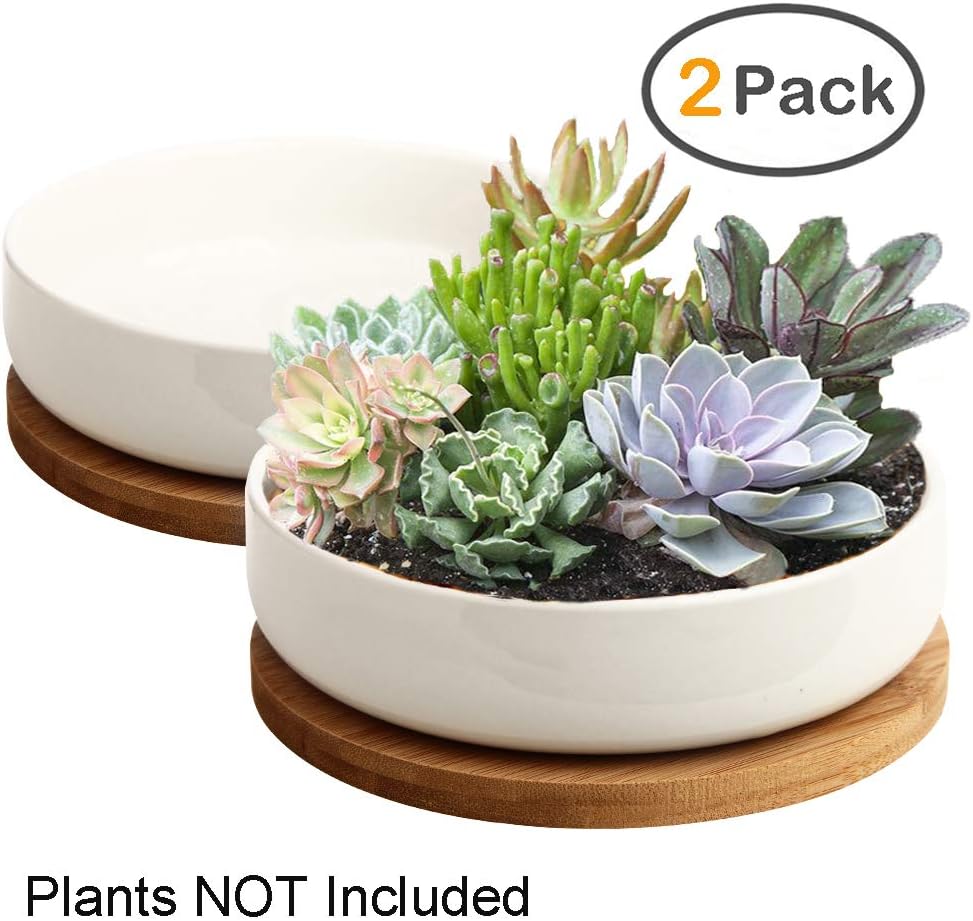 ZOUTOG Succulent Pots, 6 inch White Ceramic Flower Planter Pot with Bamboo Tray, Pack of 2 - Plants Not Included: Home & Kitchen