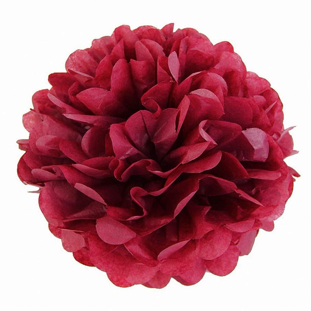 JZK 10pcs 25cm red Tissue Paper Hanging pom poms Flower Ball Decorative Pompom Party Decorations for Wedding, Birthday, Baptism, Baby Shower, Holy Communion, Girls Bedroom