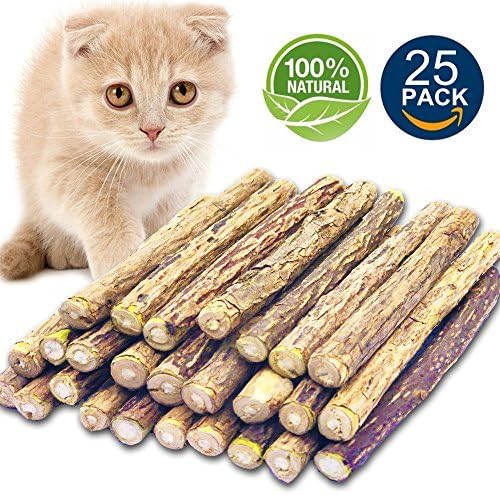 cat dental chew sticks