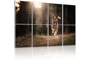 8 Pack Art Acoustic Panels Dog running Sound Absorbing Panel 32"x48" Soundproof Wall Panels Acoustic Wall Art for Studios, Of