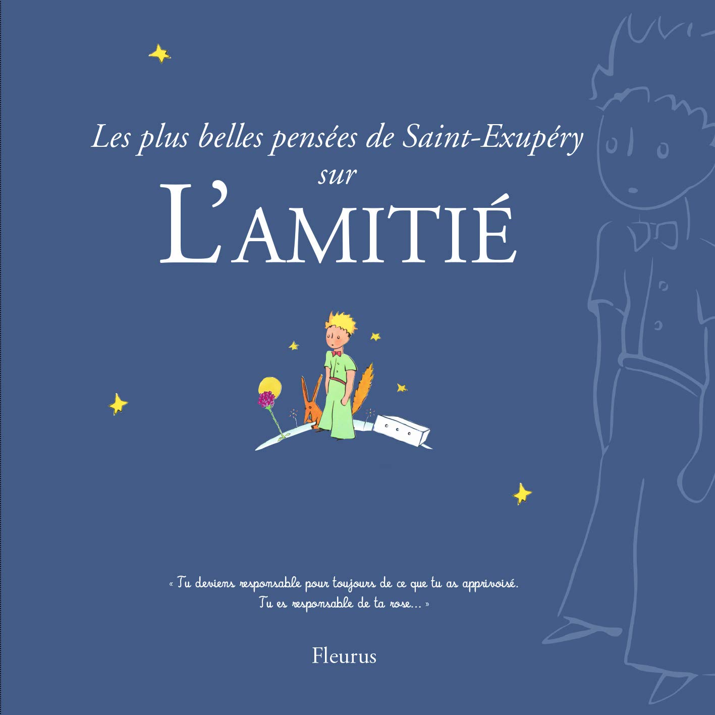  55 Belle Citation Sur L Amiti 