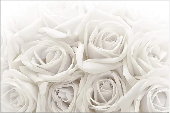 Papier Peint Intisse Top Fond D Ecran Des Roses Mural Large Papier Peint Photo Intisse Tableau Mural Xxl Photo 3d Mural 255cm X 384cm Motif Roses Blanches Amazon Fr Bricolage Papier Peint Intisse Top Fond D Ecran Des Roses Mural Large Papier Peint Photo Intisse Tableau Mural Xxl Photo 3d Mural 255cm X 384cm Motif Roses Blanches Amazon Fr Bricolage