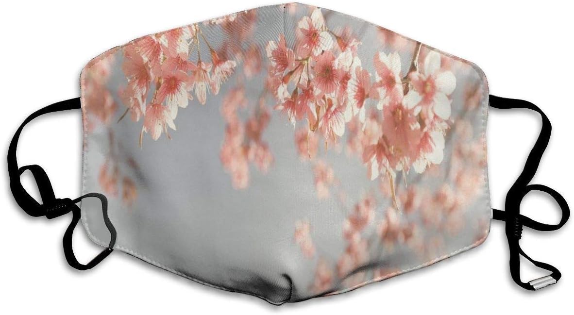 LOPEZ KENT Comfortable Windproof mask,Japanese Scenery Sakura Tree Cherry Blossom Nature Photography Coming of Spring,Printed Facial Decorations for Women and Men