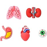 KitBeads 10Pcs 5 Styles Human Organ Silicone Beads Eye Focal Kidney Lung Heart Stomach Beads for Jewelry Making Bracelets Earring Keychains Pens Crafts