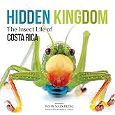 Hidden Kingdom: The Insect Life of Costa Rica (Zona Tropical Publications)