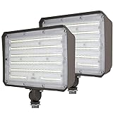 DAKASON 2 Pack 100W LED Flood Light