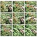 Crenova 100ft Garden Hose Expandable Hose with Double Latex Core, Solid Brass Connector, Expanding Garden Hose with 7 Function Metal Spray Nozzle