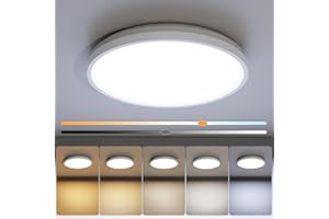 NIORSUN 7 Inch LED Ceiling Lights,Dimmable 5CCT Lighting Options Flush Mount Ceiling Light,15W Bathroom Ceiling Lights,Flat Ceiling Light,Low Profile Light Fixture for Hallway Bedroom,1 Pack…