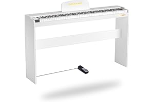 HEXANT 88 Key Digital Piano Keyboard, Semi-Weighted Electric Piano Keyboard with Multifunctional Keyboard/110 Demo Songs/900 Tones/700 Rhythms/64 Polyphony/Sustain Pedal for Adult/Beginner