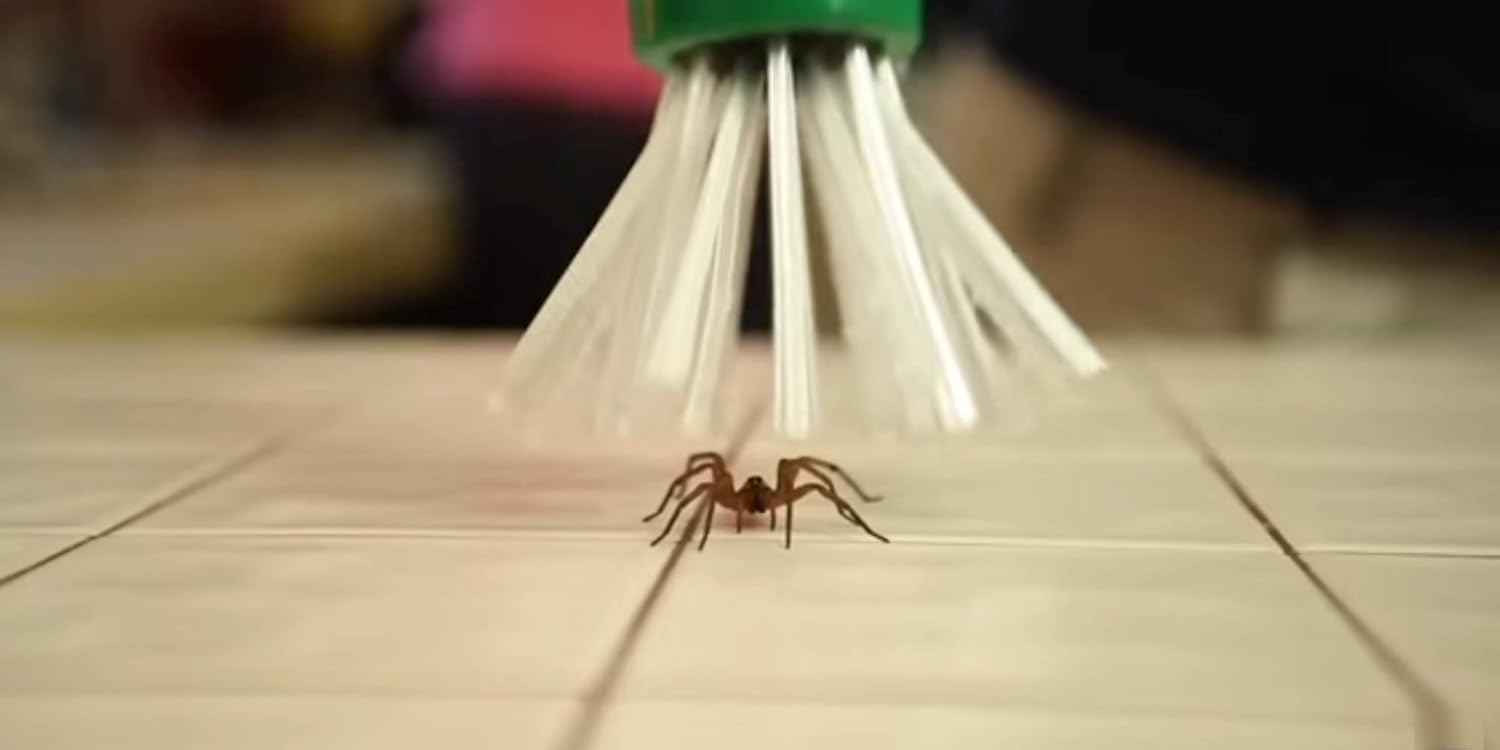 My Critter Catcher - Spider and Insect Catcher: Garden & Outdoor