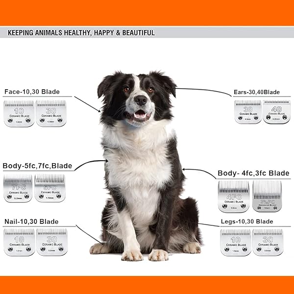 5PCS 10 BLADES DOG GROOMING REPLACEMENT BLADES COMPATIBLE WITH ANDIS PET CLIPPER/OSTER A5/WAHL KM SERIES DOG CLIPPER,CERAMIC BLADE & STAINLESS STEEL BLADE, SIZE :#10+30+40+5FC+4FC