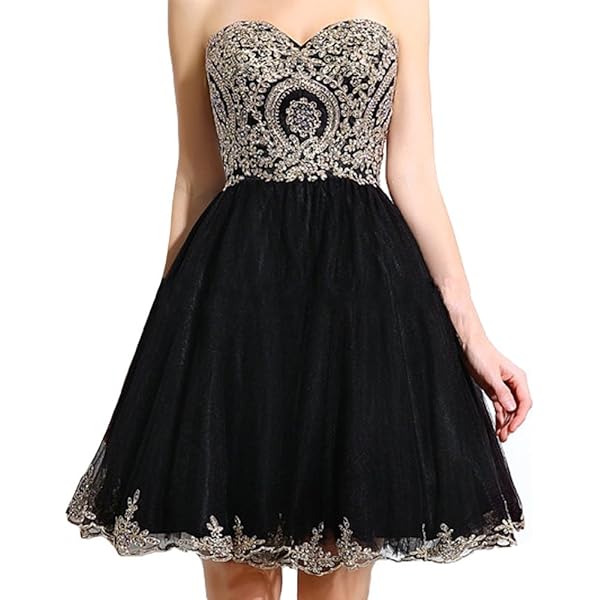 Amazon.com: Vintage Black Lace Gothic Short Tulle Prom