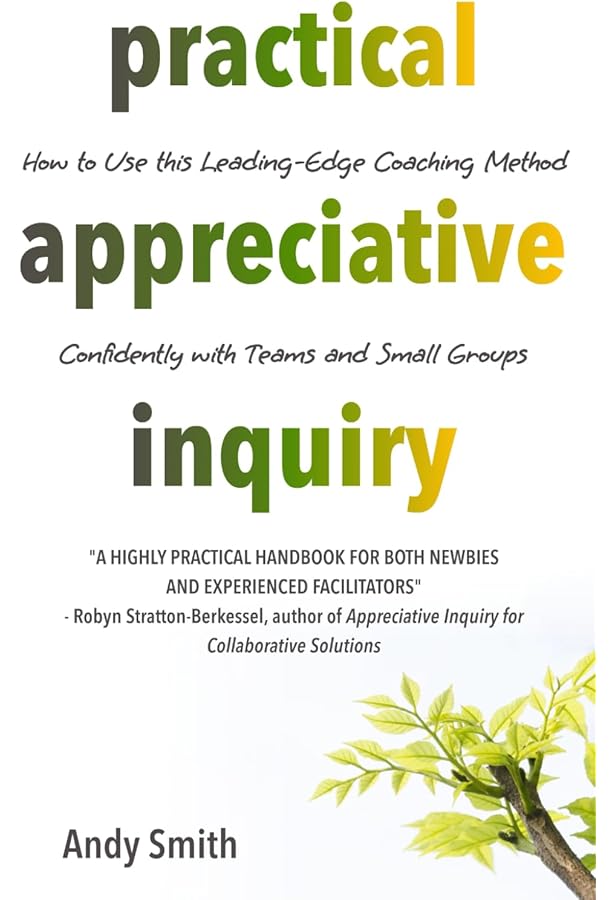 The Appreciative Inquiry Handbook: For Leaders of Change