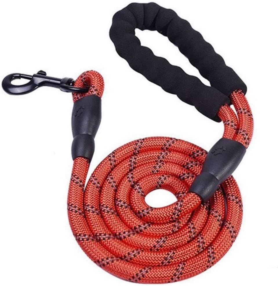 5 FT Strong Dog Lead, Comfortable Padded Handle, Highly Reflective, Suits Small, Medium and Large Dogs (Red)
