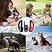 eXuby 2X Shock Collar for Small Dogs w/ 1 Remote & Training Dog Clicker - 3 Modes (Sound, Vibration & Shock) - Rechargeable Batteries - Very Fast Results