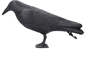 TITA-DONG Crow Decoy, Lifelike Crow Black Realistic Crows Simulation Plastic Standing Crow Statue, Yard Garden Patios Decor Hunting Bait Decoys Tool for Outdoor Garden Decoration Garden Decoration Hunting Bait
