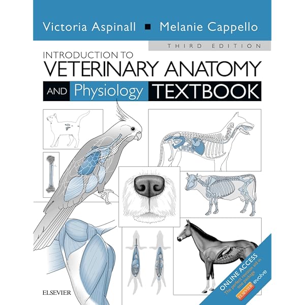 Veterinary Pediatrics 第3版 Veterinary Pediatrics 第3版 Veterinary Pediatrics: Dogs and