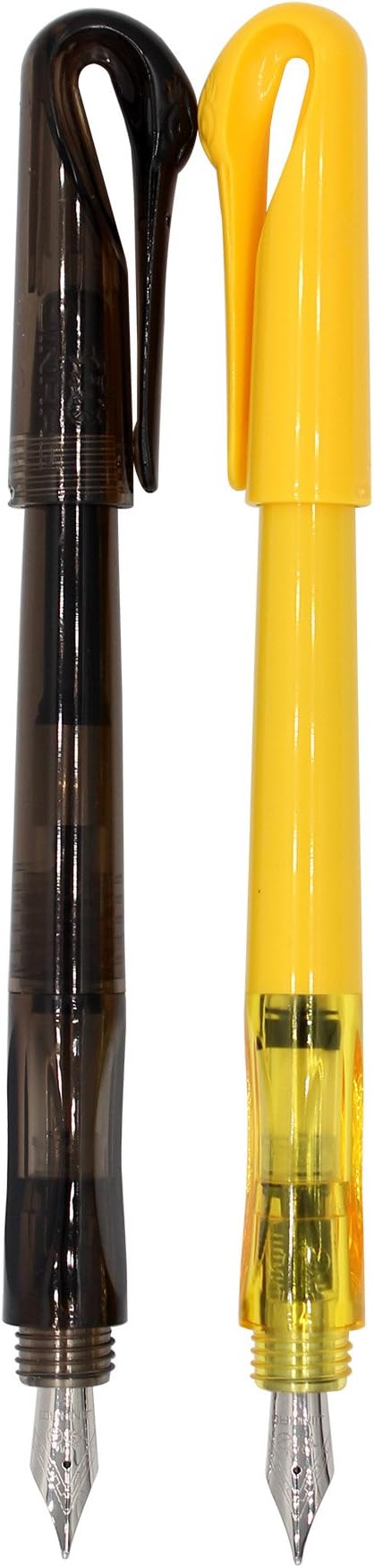 Ranvi Swan Fountain Pen, Couple Pen, 2 PCS (transparent black, yellow)