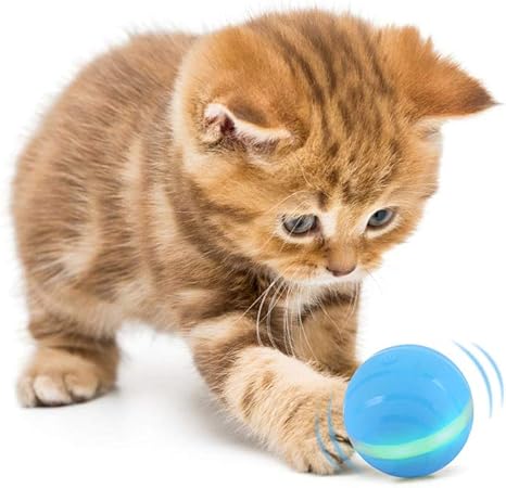 smart cat ball