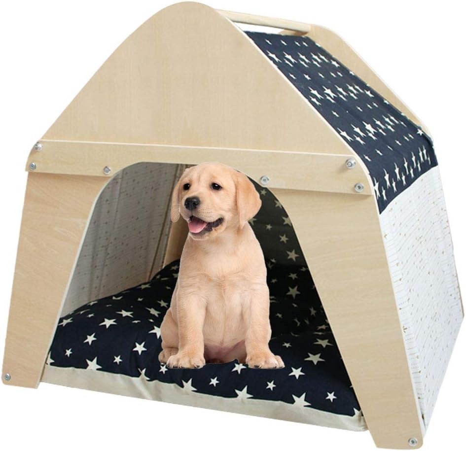 10 Mejores Casetas De Resina Para Perros : Noviembre 2020