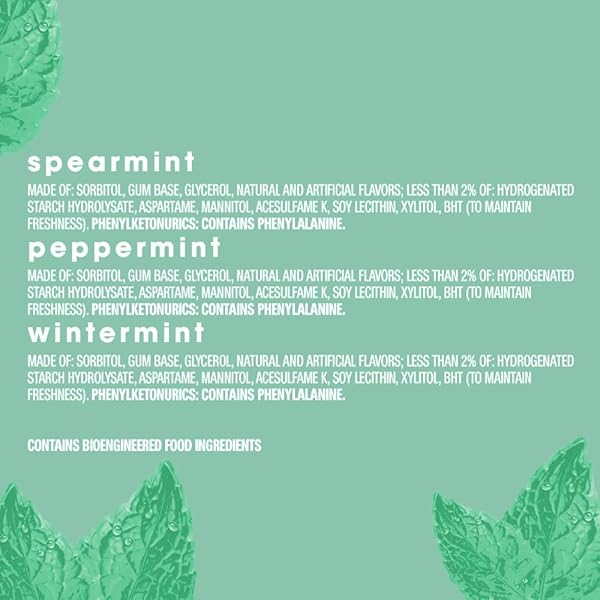 ORBIT PEPPERMINT, SPEARMINT, & WINTERMINT ASSORTED SUGAR FREE CHEWING GUM BULK PACK, 13.4 OZ 200-PIECE BAG
