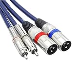 Disino Dual RCA to XLR Male Cable, 2 XLR to 2