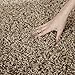 SAFAVIEH Athens Shag Collection SGA119G Non-Shedding Living Room Bedroom Dining Room Entryway Plush 1.5-inch Thick Runner, 2'3