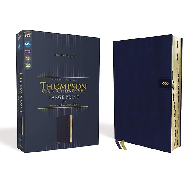 NIV, Thompson Chain-Reference Bible, Leathersoft, Brown, Red
