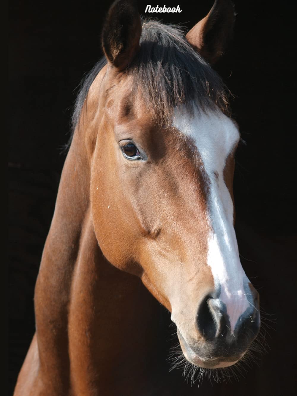Notebook (Horse Notebooks)