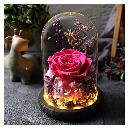 Alyr Rose Enchantée Fleurs De La Vie éternelle Fleur