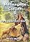 Livro Mensagens Curtas 8