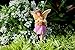 PRETMANNS Fairy Garden Fairies Accessories – Miniature Gnome & Farm Animals – 6 Piece Set – Part of The Fairy Farm Collection