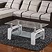 SUNCOO Coffee Table Glass Top with Shelves Home Furniture Clear Rectangle (White)
