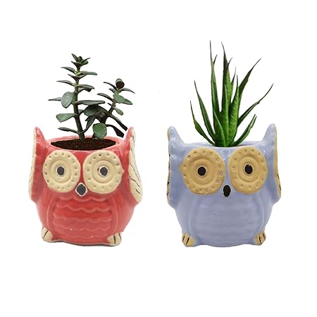 India Meets India Owl Shape Ceramic Flower Pot Planter Pot Indoor Outdoor Planter Handicraft by Awarded Indian Artisan