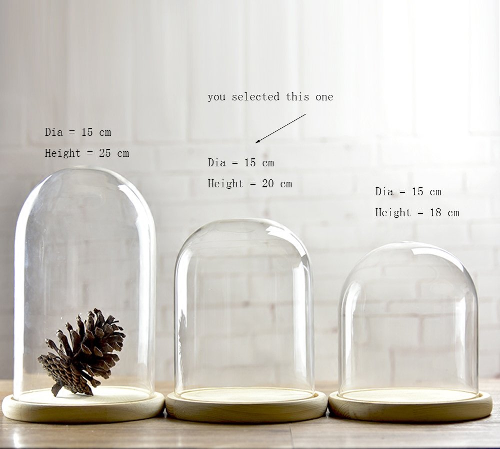 Glass Cloche Bell Jar Dome With wooden Tray Diameter 15 cm (Medium