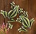 Set of 2 Glow in the Dark Metal Wall Frog Garden Decoration