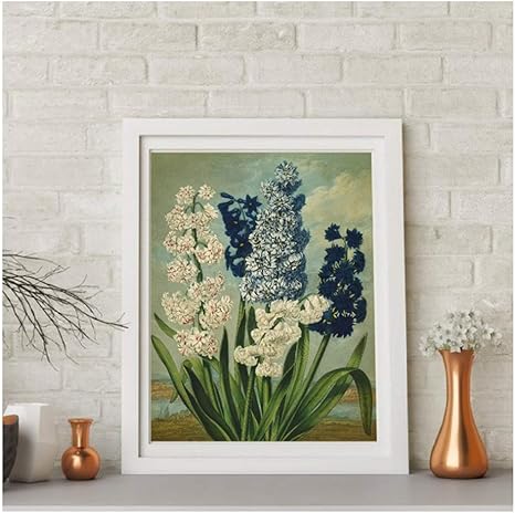 Amazon Co Jp 植物写真プリントヒヤシンスの花イラストポスターヴィンテージキャンバス壁アート絵画植物壁写真家の装飾23 6 X 31 4 60x80cm フレームなし ホーム キッチン