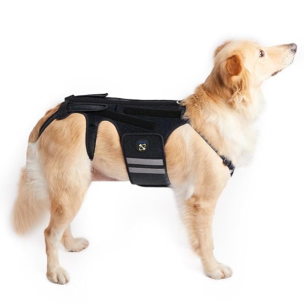 COODEO DOG BACK BRACE FOR DOGS ARTHRITIS, PET...