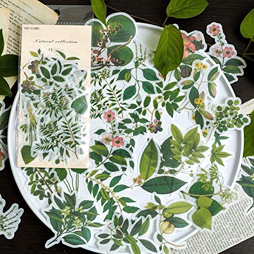 60pcs Laptop Stickers Scrapbook Stickers, Doraking DIY Decorative Green Plants Set Stickers for Laptop,Envelop,Scrapbook,Notebook,Luggage, Glasses(Plants Map) - Thumbnail 5