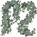 SUPLA 2 Pcs Faux Silver Dollar Eucalyptus Leaves Greenery Garland Total 12Ft Long Artificial Eucalyptus Twig Vine Garland Decorative Fake Hanging Eucalyptus for Greenery Decor Wedding Floral Mantle