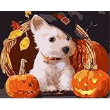ABEUTY DIY Paint by Numbers for Adults Beginner - White Puppy Pumpkin Basket Animal 16x20 inches Number Painting Anti Stress Toys (No Frame)