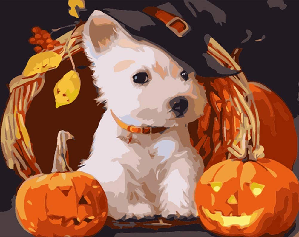 ABEUTY DIY Paint by Numbers for Adults Beginner - Pumpkin Dog Puppy 16x20 inches Number Painting (Wooden Framed)