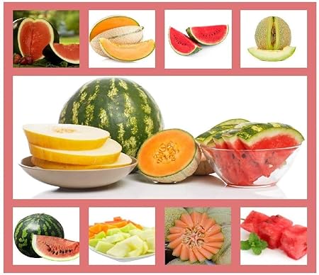 Heirloom Fruit Seeds- Non Hybrid- Real Survival Seeds. Honeydew Green Melon, Banana Melon, Honey Rock Cantaloupe, Watermelon Crimson Sweet, Sugar Baby Watermelon Seeds, Hales Best Jumbo Melon,Non GMO