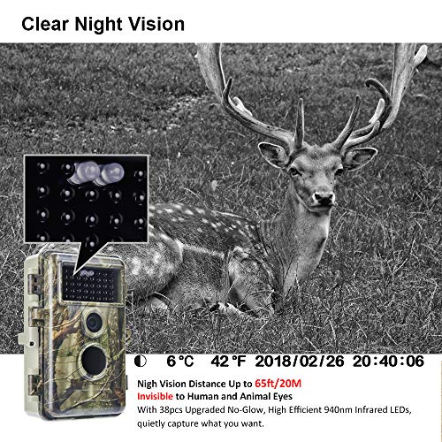 Meidase Trail Camera 16MP 1080P, Game Camera with No Glow Night Vision Up to 65ft, Hunting Camera with Motion Activated, 2.4" Color Screen and Unique Keypad, Waterproof Wildlife Camera