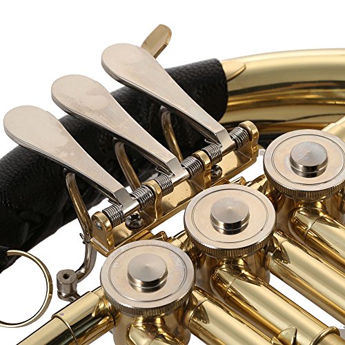 ammoon French Horn B/BB Flat 3 Key Brass Gold Lacquer Single-Row Split Wind Instrument with Cupronickel Mouthpiece Case, Barbell 1