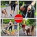 Hands Free Bungee Leash + Dual Dog Leash Coupler Kit Multifunctional + Retractable Traffic Jogging Hiking Leash & Reflective Pet Leash • Adjustable Body System + Padded Handles • Take Yankee
