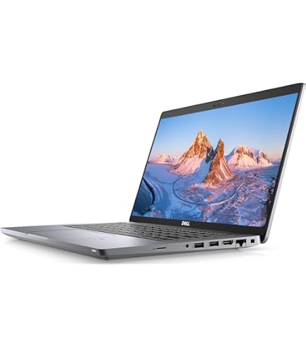 Amazon.com: Dell Latitude 5420 14