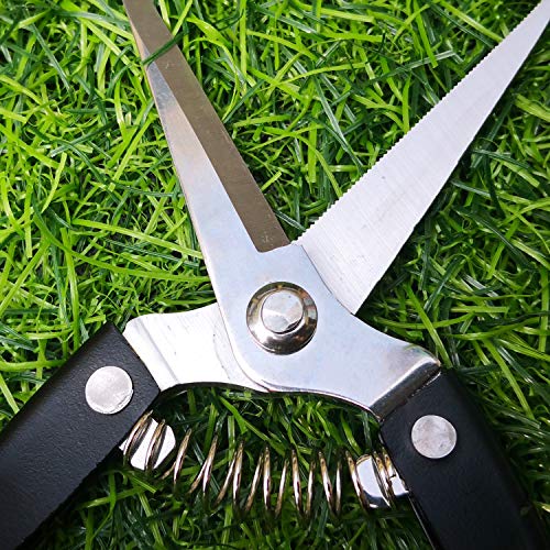 Pruning Shears Straight Tip Pruning Trimming Scissors Florist Scissors-Stainless Steel Ultra Sharp Multi-Purpose Hand Pruner Scissors for Garden Harvesting Fruits Vegetables, Trimming Flowers,Black