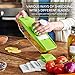 Mandoline Slicer - Premium Vegetable Potato Slicer Grater - Cutter for Tomato, Onion, Cucumber, Zucchini Pasta, Cheese - Julienne Veggie Peeler Chopper - Food Storage, 5 Blades & Hand Protector